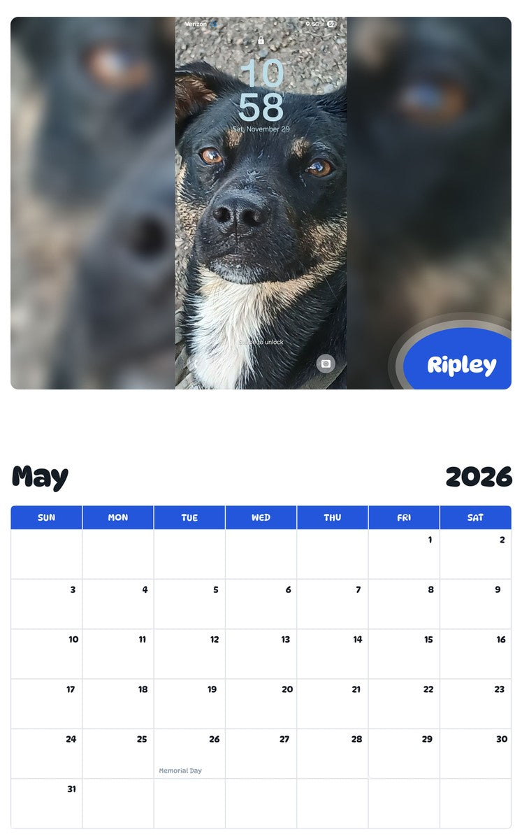 2026 - 2027 Ripley - Pawidols Pet Calendar