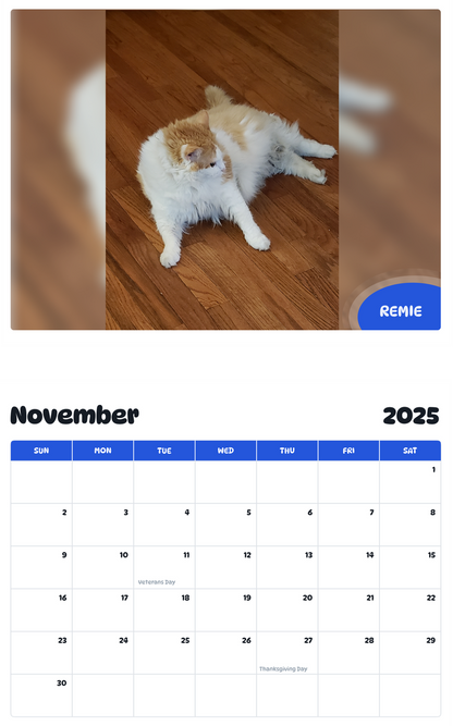 July 2025 - June 2026 Remie - Pawidols Pet Calendar