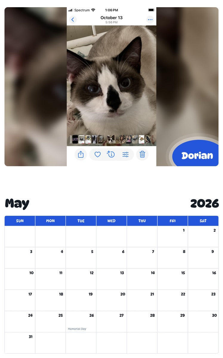 2026 - 2027 Dorian - Pawidols Pet Calendar