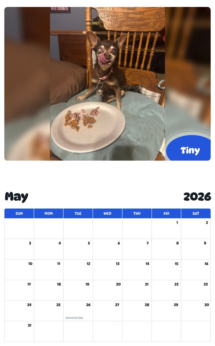 2026 - 2027 Tiny - Pawidols Pet Calendar
