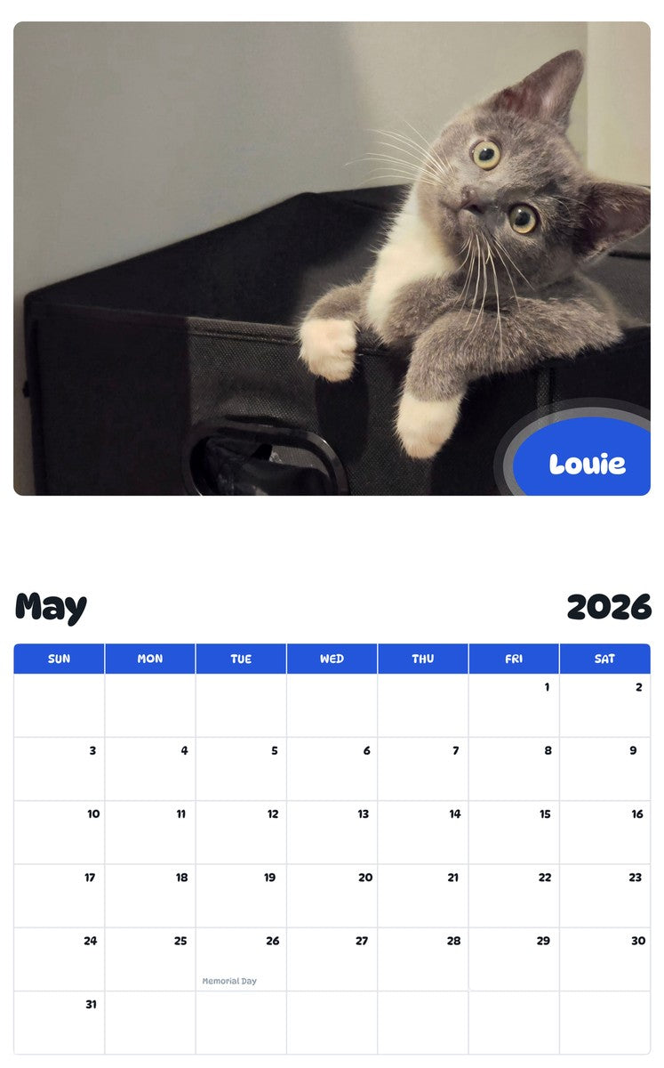 2026 - 2027 Louie - Pawidols Pet Calendar