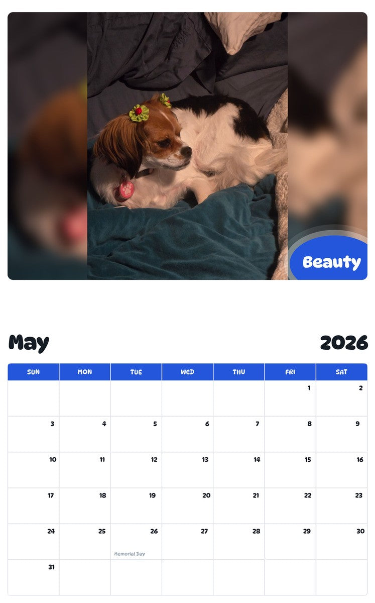 2026 - 2027 Beauty - Pawidols Pet Calendar