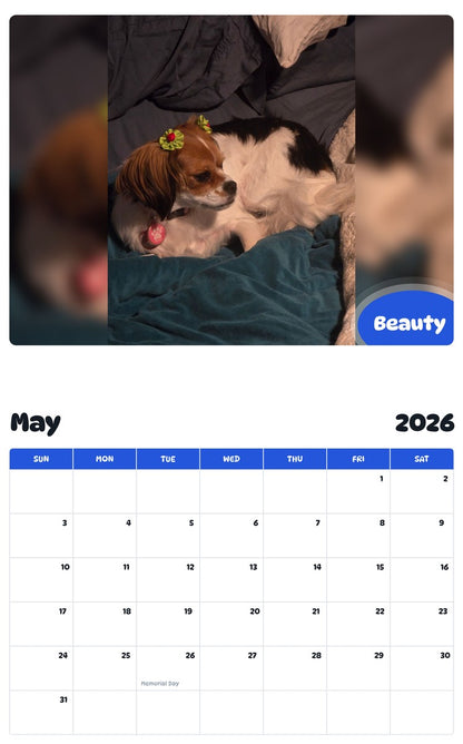 2026 - 2027 Beauty - Pawidols Pet Calendar