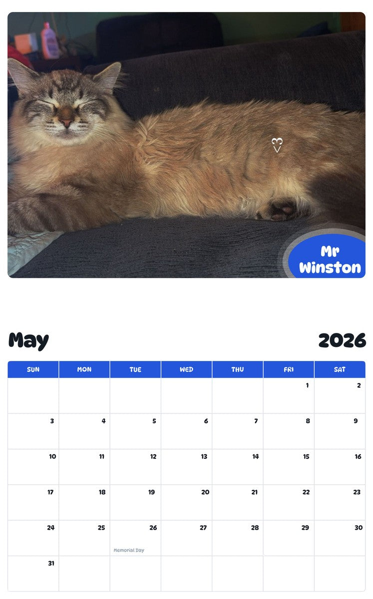 2026 - 2027 Mr Winston - Pawidols Pet Calendar