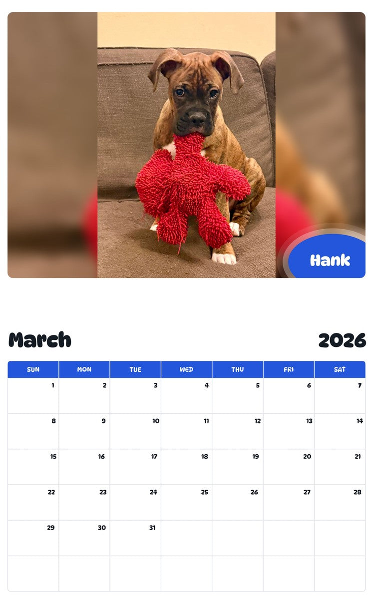 November 2025 - October 2026 Hank - Pawidols Pet Calendar