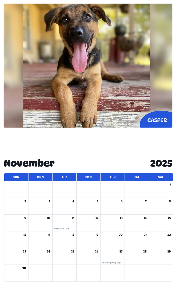July 2025 - June 2026 Casper - Pawidols Pet Calendar