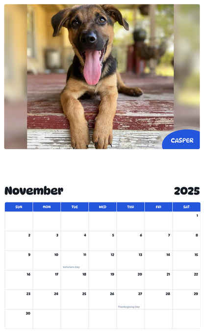 July 2025 - June 2026 Casper - Pawidols Pet Calendar