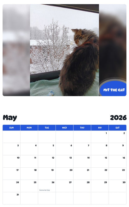 2026 - 2027 MIT THE CAT - Pawidols Pet Calendar