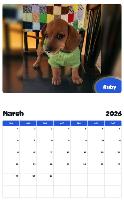 November 2025 - October 2026 Ruby - Pawidols Pet Calendar