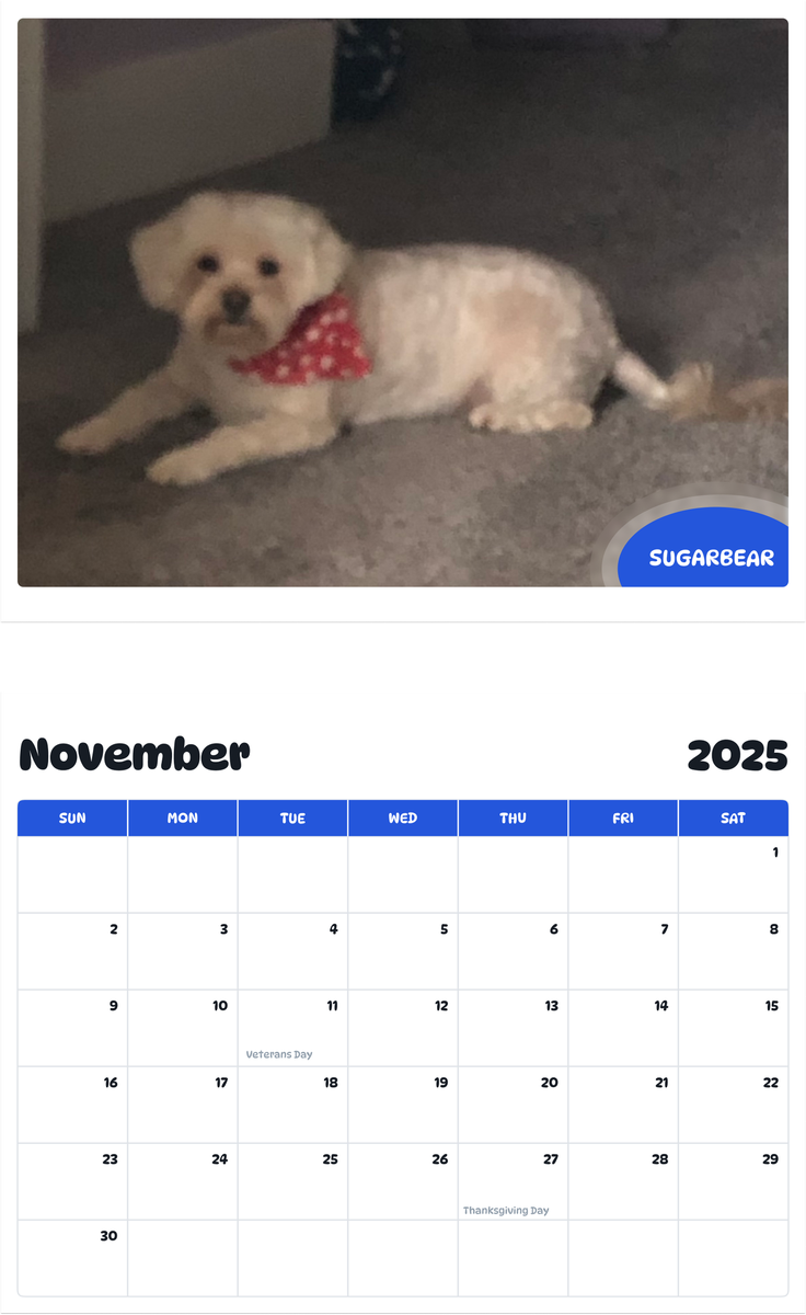 July 2025 - June 2026 Sugarbear - Pawidols Pet Calendar