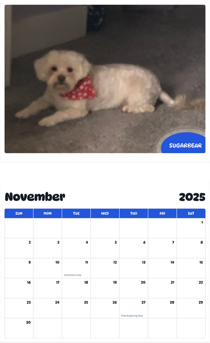 July 2025 - June 2026 Sugarbear - Pawidols Pet Calendar
