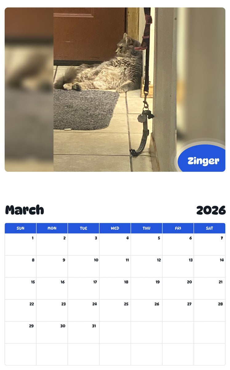 November 2025 - October 2026 Zinger - Pawidols Pet Calendar