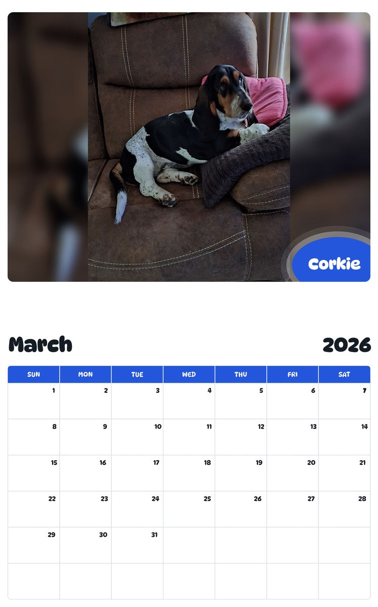 November 2025 - October 2026 Corkie - Pawidols Pet Calendar