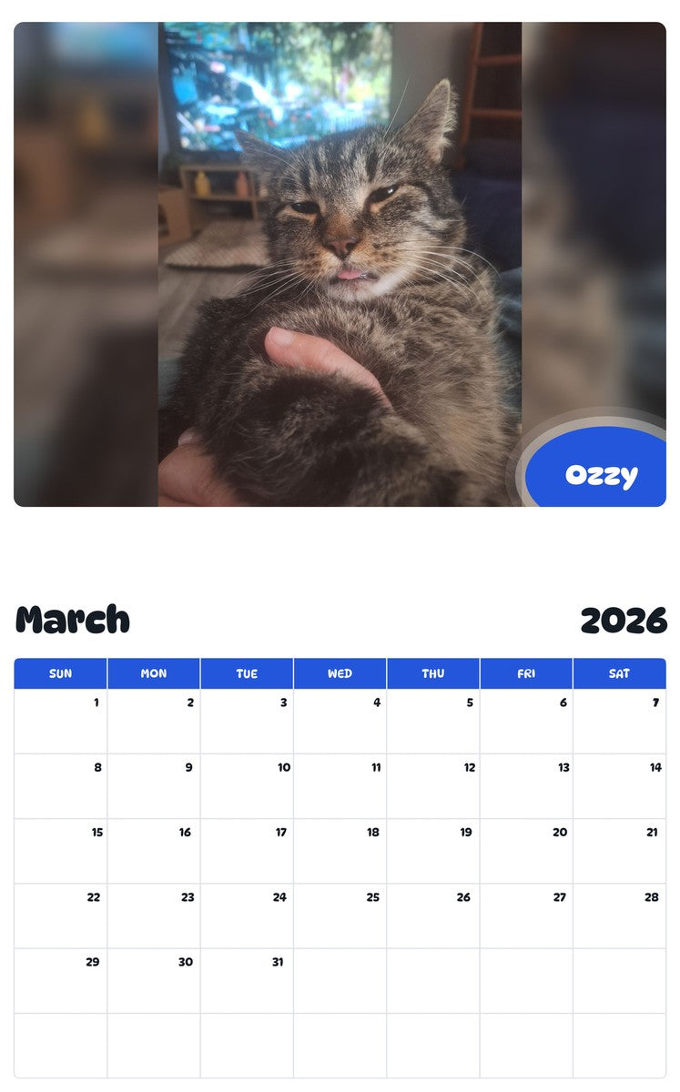 November 2025 - October 2026 Ozzy - Pawidols Pet Calendar