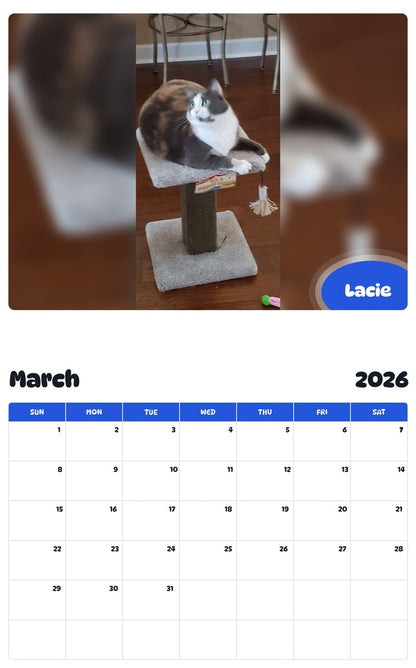 November 2025 - October 2026 Lacie - Pawidols Pet Calendar