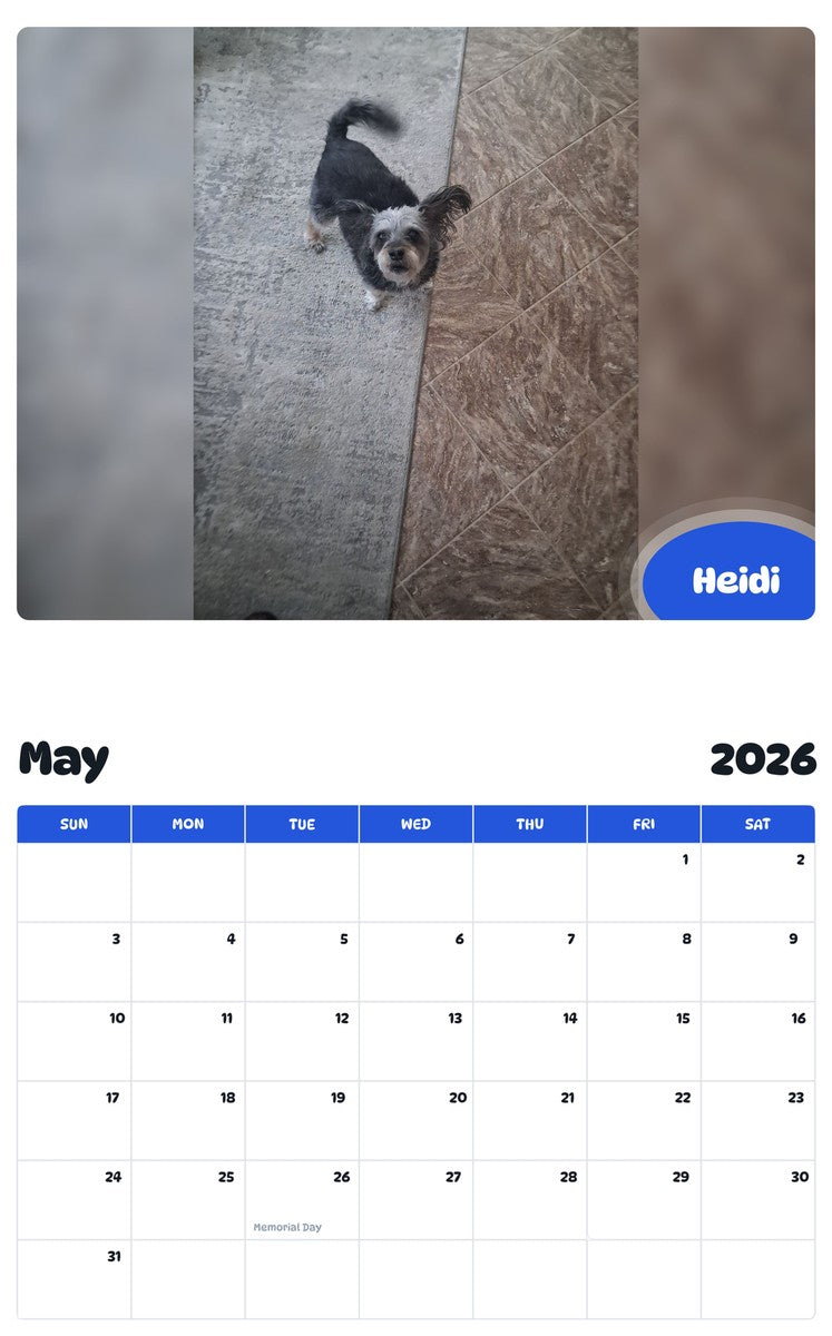 2026 - 2027 Heidi - Pawidols Pet Calendar