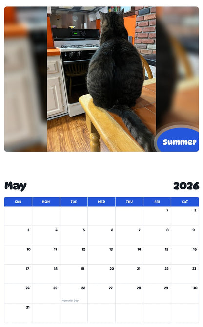 2026 - 2027 Summer - Pawidols Pet Calendar