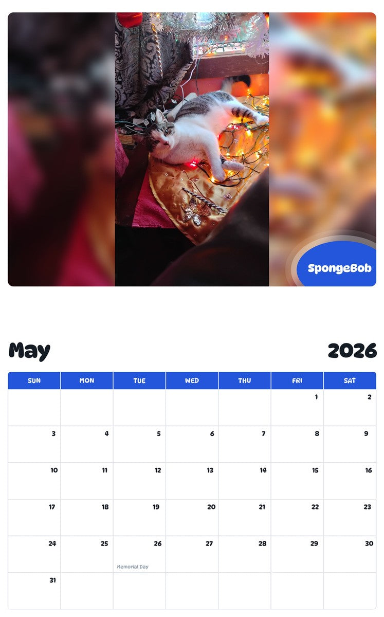2026 - 2027 SpongeBob - Pawidols Pet Calendar