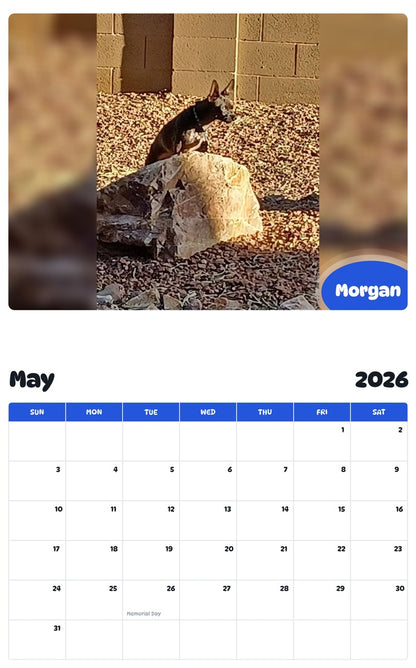 2026 - 2027 Morgan - Pawidols Pet Calendar