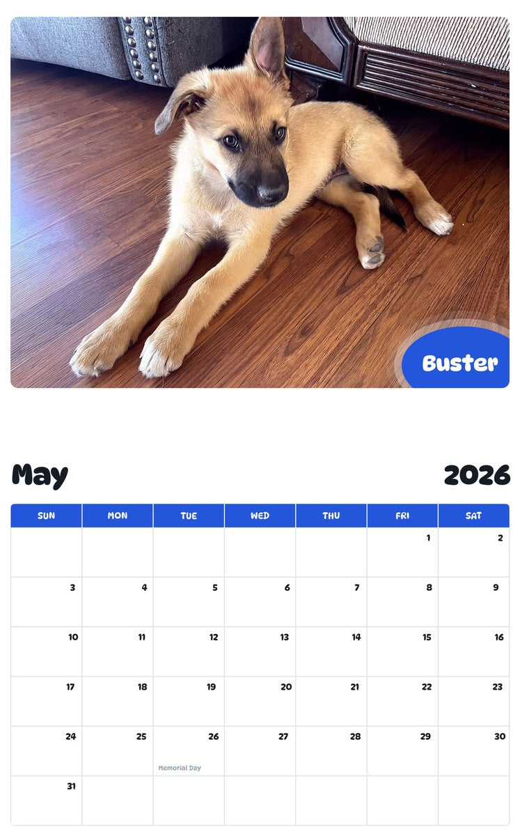 2026 - 2027 Buster - Pawidols Pet Calendar