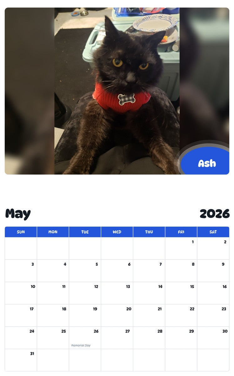 2026 - 2027 Ash - Pawidols Pet Calendar