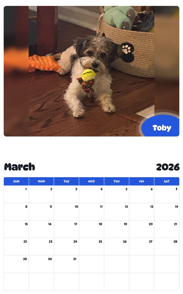 November 2025 - October 2026 Toby - Pawidols Pet Calendar