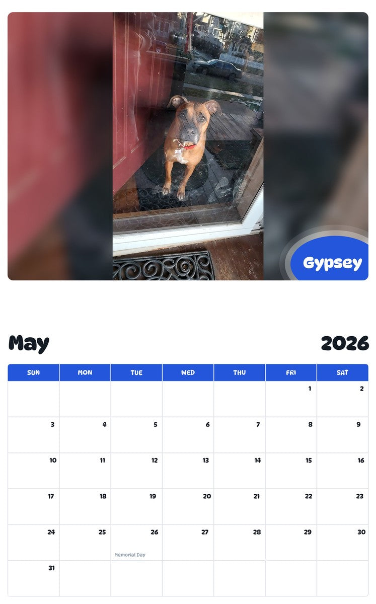 2026 - 2027 Gypsey - Pawidols Pet Calendar