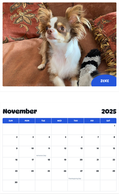 July 2025 - June 2026 Zeke - Pawidols Pet Calendar