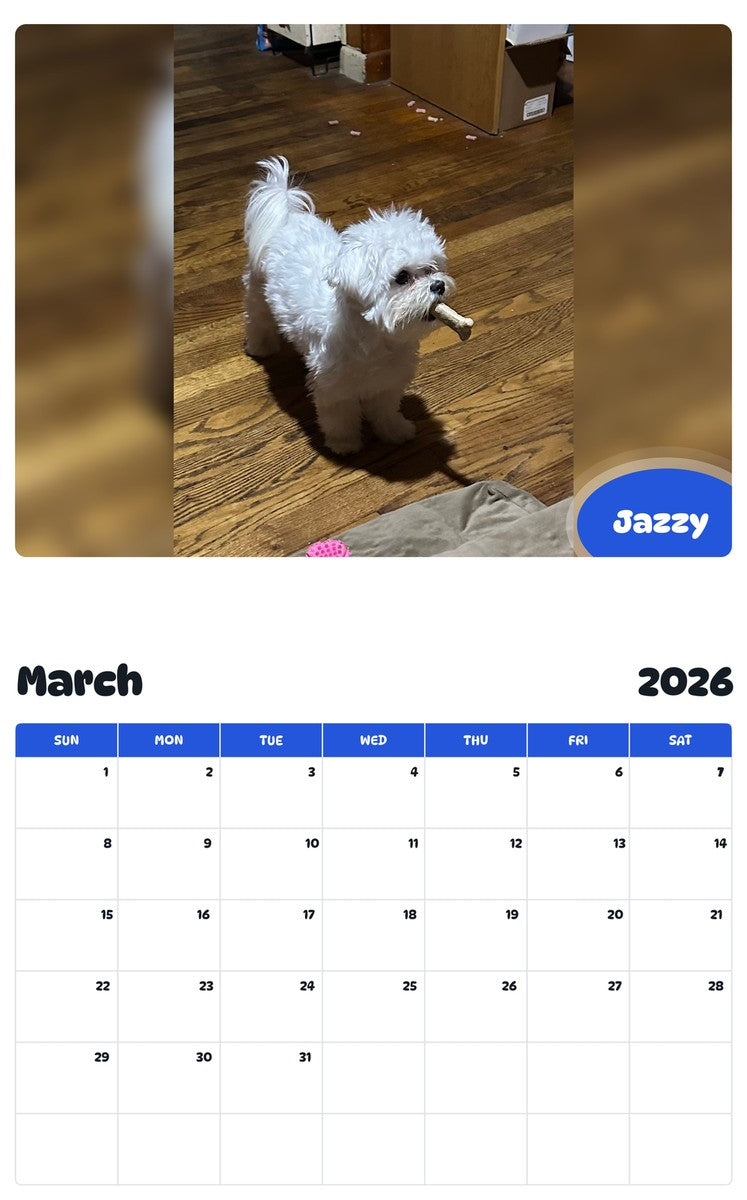 November 2025 - October 2026 Jazzy - Pawidols Pet Calendar