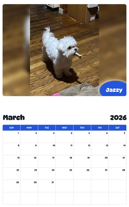 November 2025 - October 2026 Jazzy - Pawidols Pet Calendar