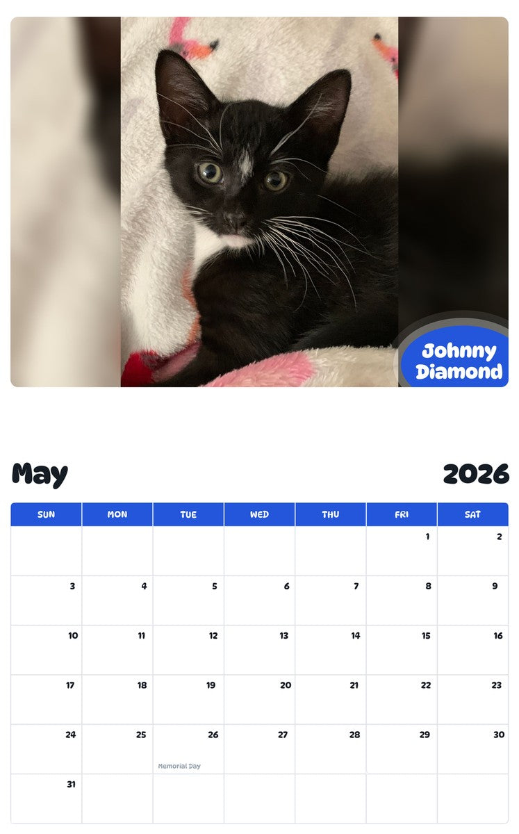 2026 - 2027 Johnny Diamond - Pawidols Pet Calendar