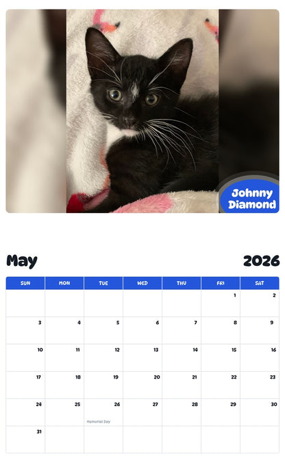 2026 - 2027 Johnny Diamond - Pawidols Pet Calendar