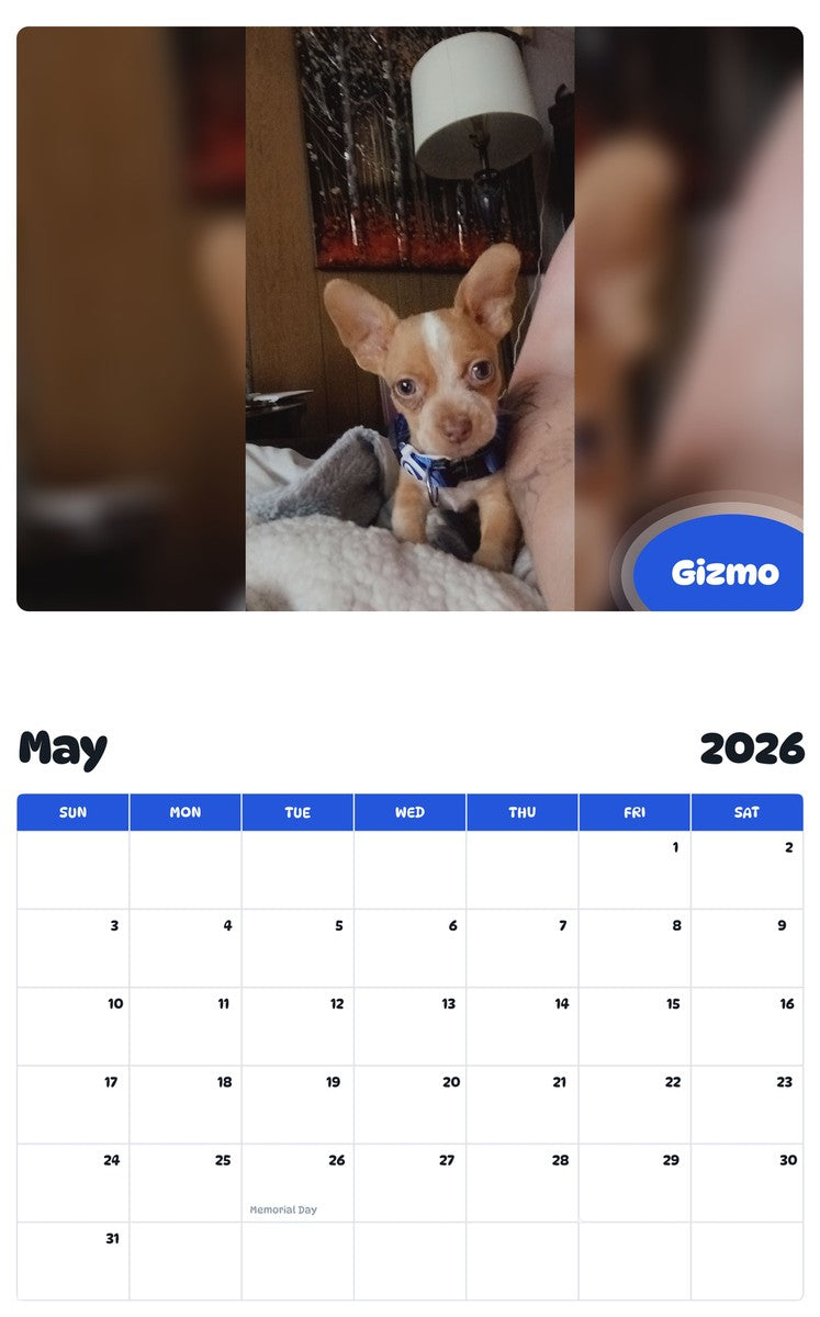 2026 - 2027 Gizmo - Pawidols Pet Calendar