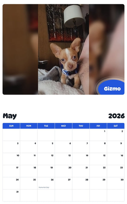 2026 - 2027 Gizmo - Pawidols Pet Calendar