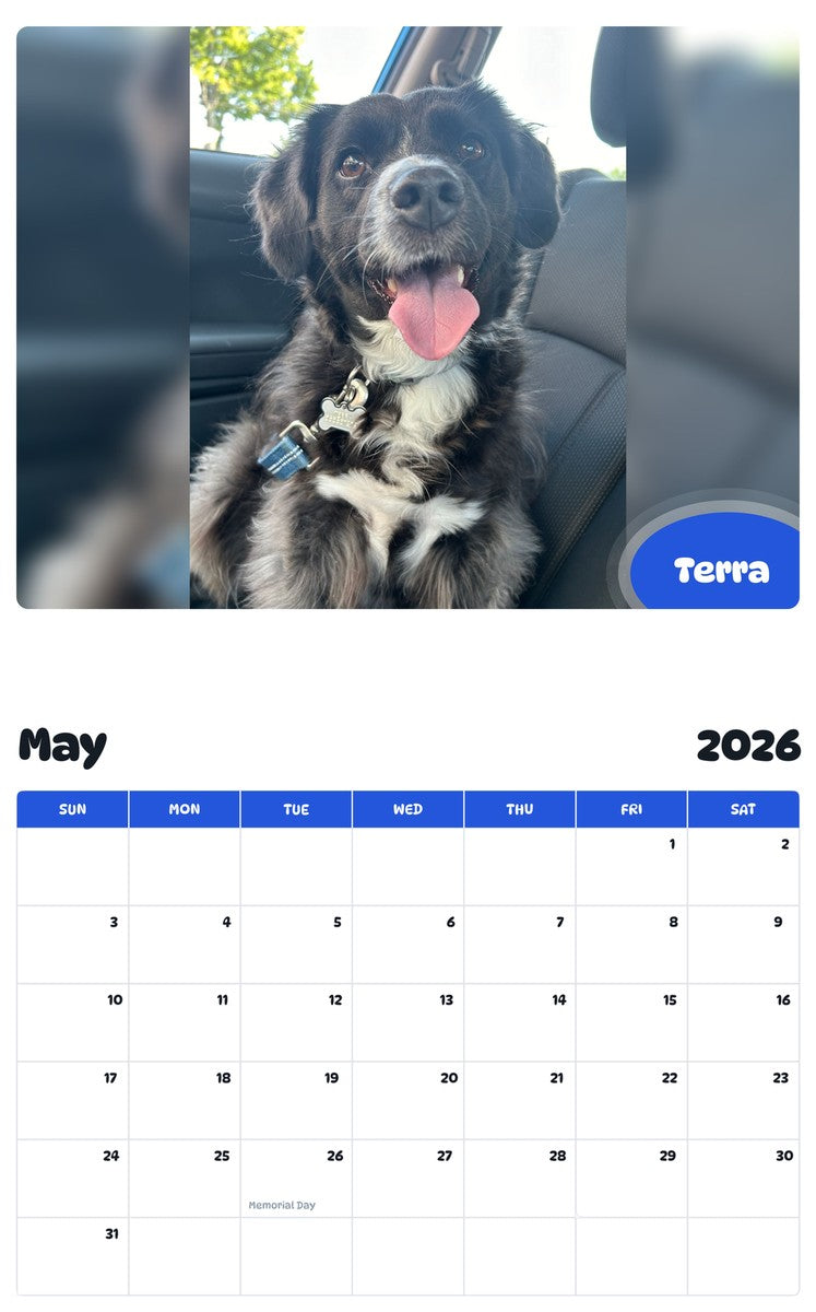 2026 - 2027 Terra - Pawidols Pet Calendar