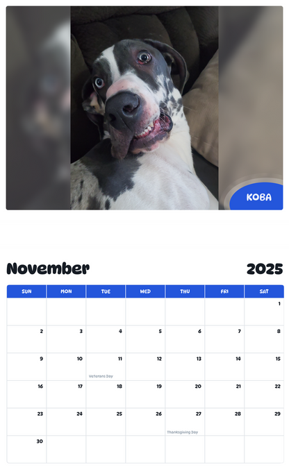 July 2025 - June 2026 Koba - Pawidols Pet Calendar