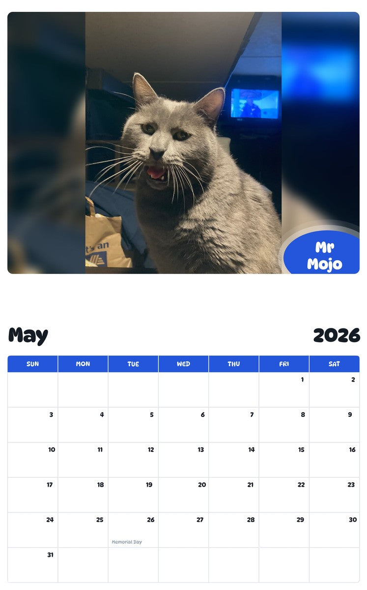 2026 - 2027 Mr Mojo - Pawidols Pet Calendar