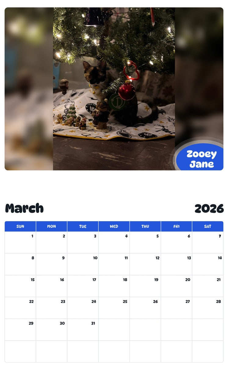 November 2025 - October 2026 Zooey Jane - Pawidols Pet Calendar