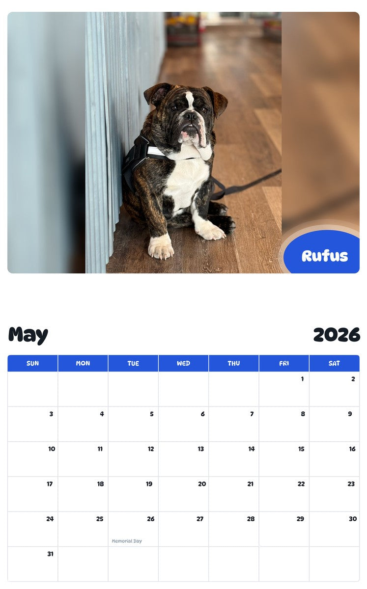 2026 - 2027 Rufus - Pawidols Pet Calendar