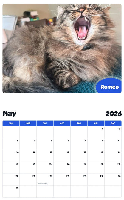 2026 - 2027 Romeo - Pawidols Pet Calendar