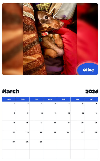 November 2025 - October 2026 Olive - Pawidols Pet Calendar