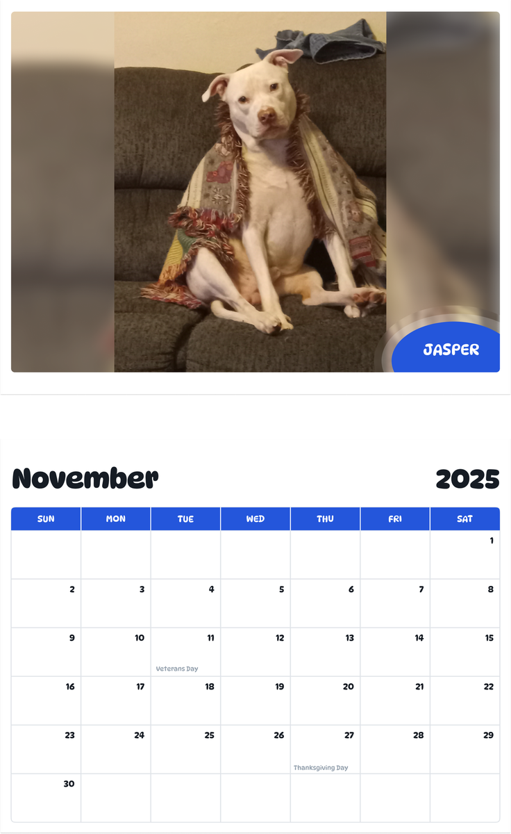 July 2025 - June 2026 Jasper - Pawidols Pet Calendar
