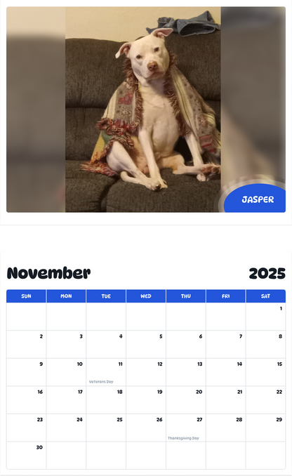 July 2025 - June 2026 Jasper - Pawidols Pet Calendar