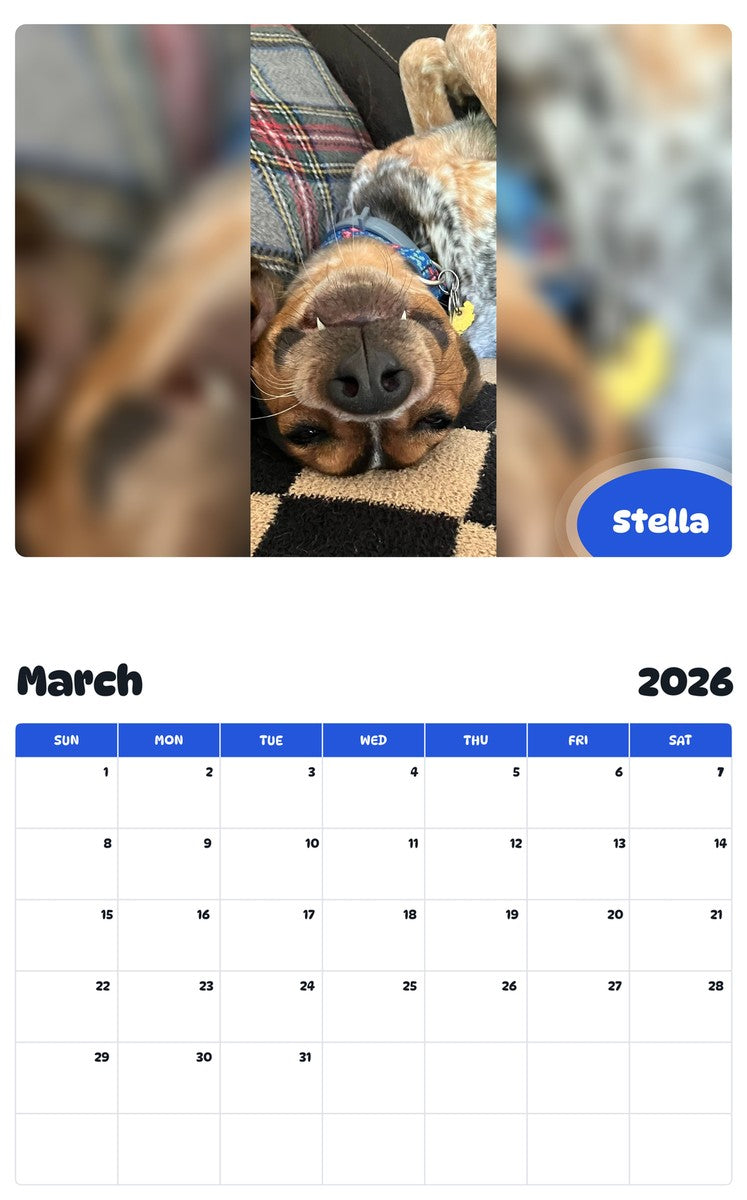November 2025 - October 2026 Stella - Pawidols Pet Calendar