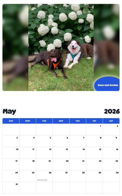 2026 - 2027 Coco and Cookie - Pawidols Pet Calendar