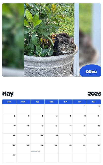 2026 - 2027 Olive - Pawidols Pet Calendar