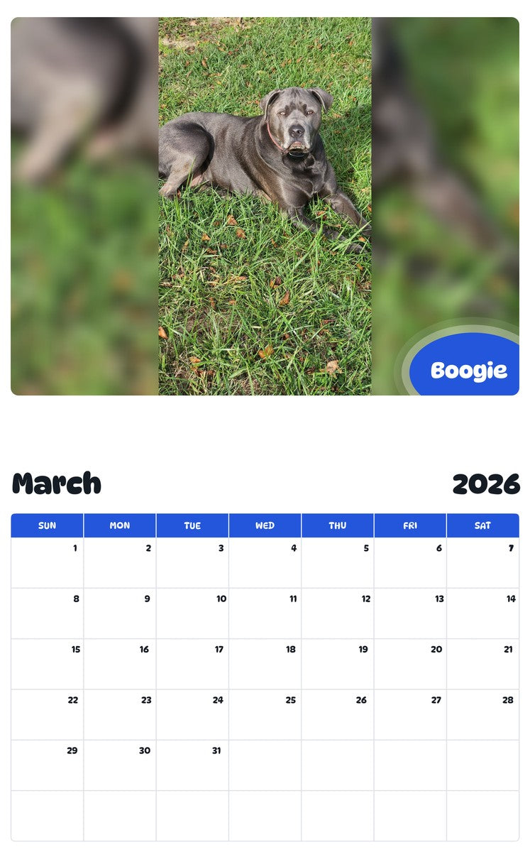 November 2025 - October 2026 Boogie - Pawidols Pet Calendar