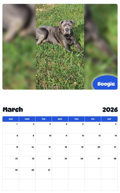 November 2025 - October 2026 Boogie - Pawidols Pet Calendar