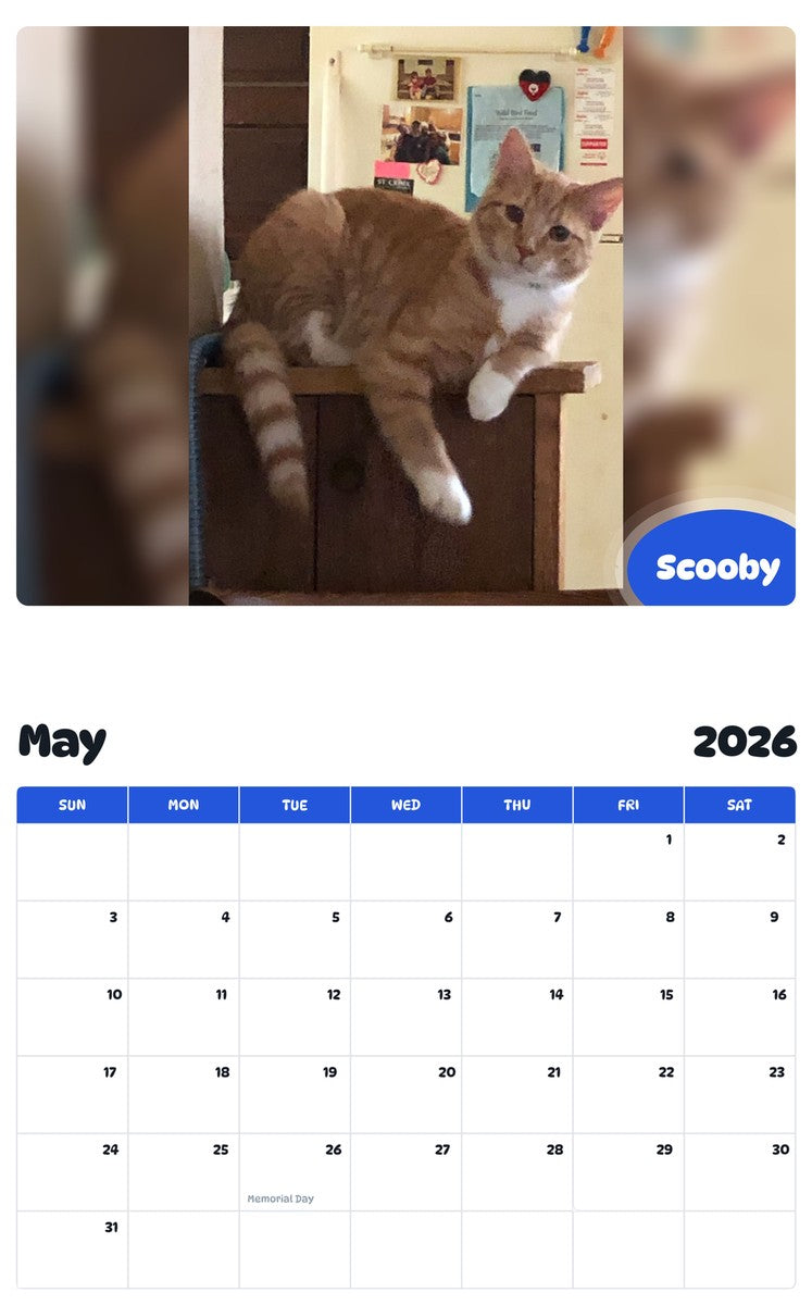 2026 - 2027 Scooby - Pawidols Pet Calendar