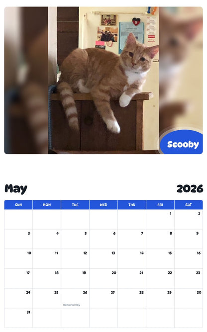 2026 - 2027 Scooby - Pawidols Pet Calendar